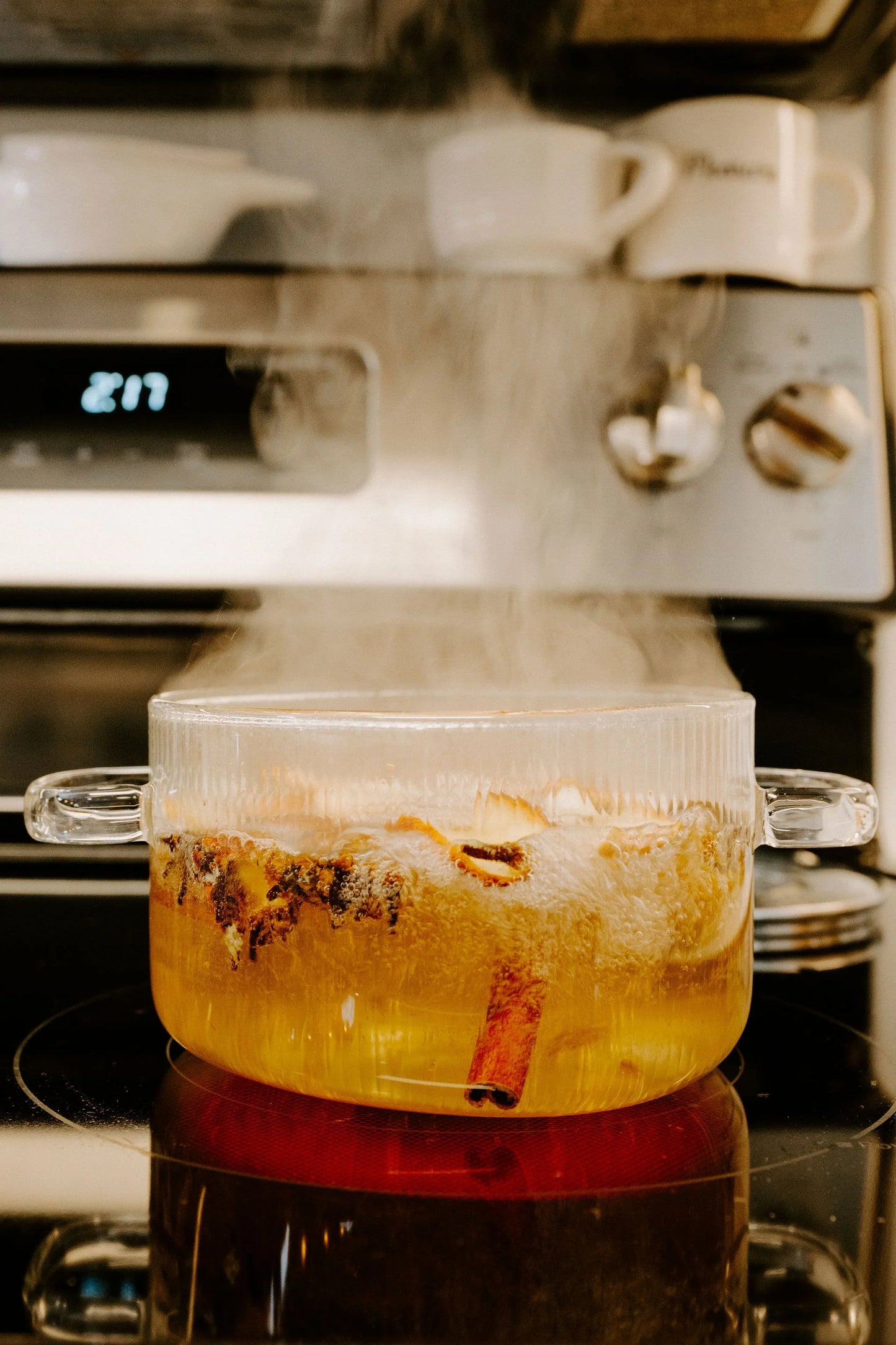 Spa Day Simmer Pot - Lemon Lavender Eucalyptus